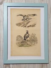 1852 Lithographie Kunstdruck