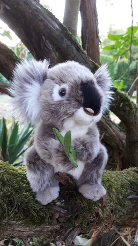Koala baby sitzend cm - koala,