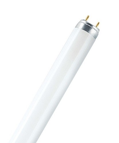 150cm g13 osram - t8/,