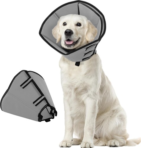 Hund halskrause nach - halskrause, op