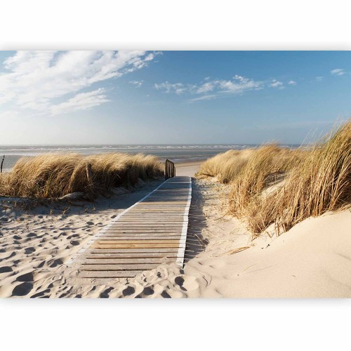 Meer landschaft strand - meer,