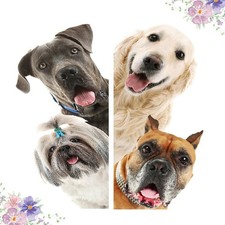  Wandtattoo Hund Abnehmbare