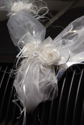 Auto girlandenset organza - auto,