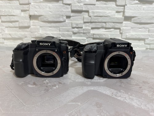 Sony apha dslr 100 - a,