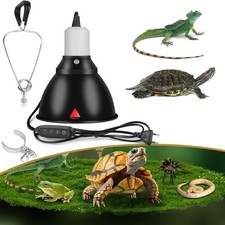 Reptilien wärmelampe - reptilien,