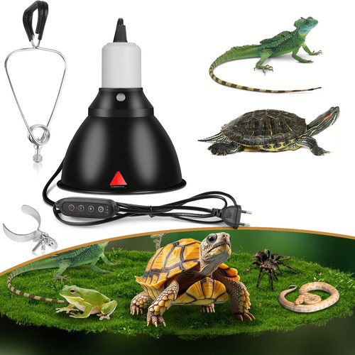 Reptilien wärmelampe - reptilien,