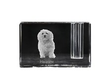 Havaneser, Bichon Havanais