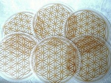 Blume des Lebens Untersetzer gold 6 Stück Kunststoff Spülmaschinenfest 