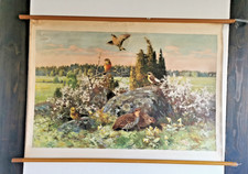 Original Schulwandkarte