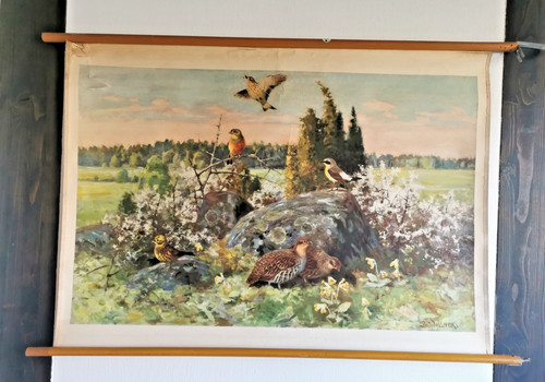 Original schulwandkarte - original,