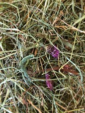 Heu fein & vital *  weiche