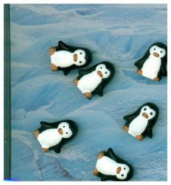 Magnete pingu 6er set - magnete,