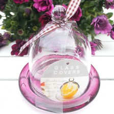 Glashaube Haube Glasdom Glaskuppel Gloche lila Rosa Glocke Glassturz Glasglocke