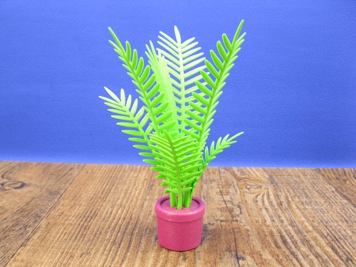 Zimmerpalme palme zubehör - zimmerpalme,