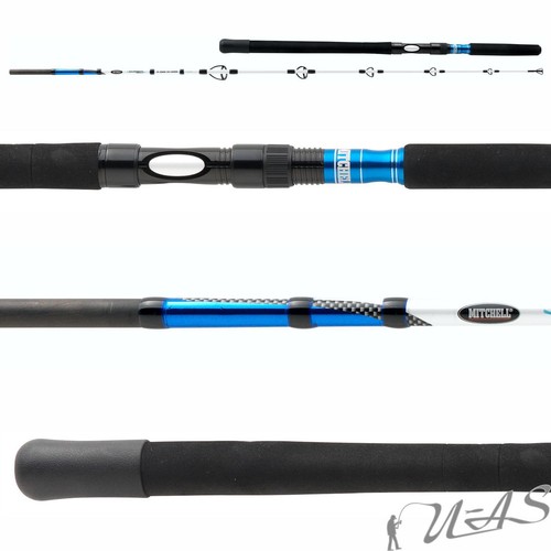 Mitchell avocet salt jig - salt, rute
