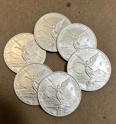 2024 mexican libertad siiver - mexican,