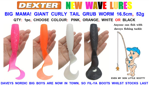 Giant curly tail grub - grub, worm