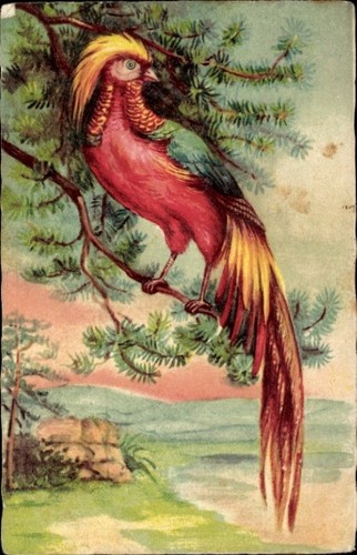 Künstler goldfasan vogel - goldfasan,,
