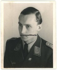 Orig. Foto Portrait Nachtjagd