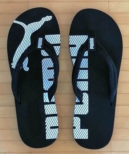 Puma epic flip flop - epic, v2