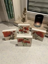 Marthe Mohnblumen 4 Bilder 14