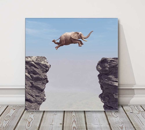 Elefant springende felsen - elefant,,