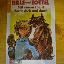 Bille und Zottel 3 Mit einem Pferd durch dick und dünn Pferdemädchen Jugendroman