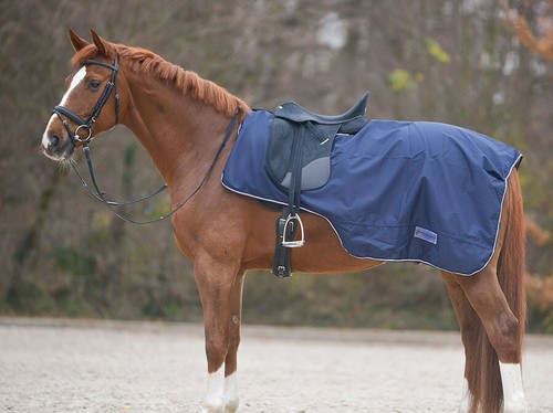 Waldhausen ausreitdecke mit - ausreitdecke,