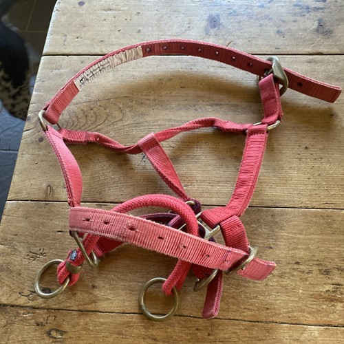 Monty roberts doppeltes - monty,