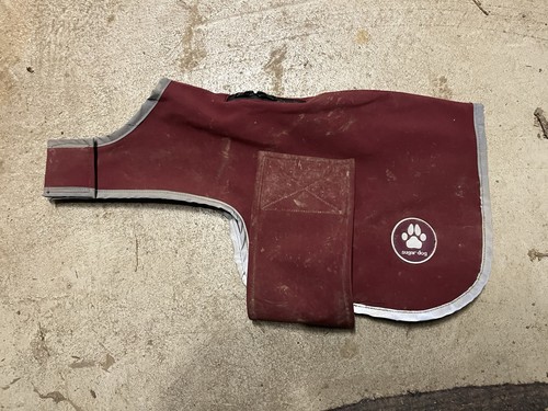Hunde regenmantel - hunde,