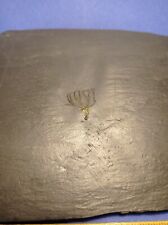 Bundenbach Seelilie crinoid