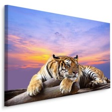 CANVAS Leinwand Bilder XXL