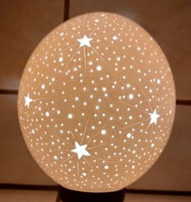 1 Lampenschirm Straußenei