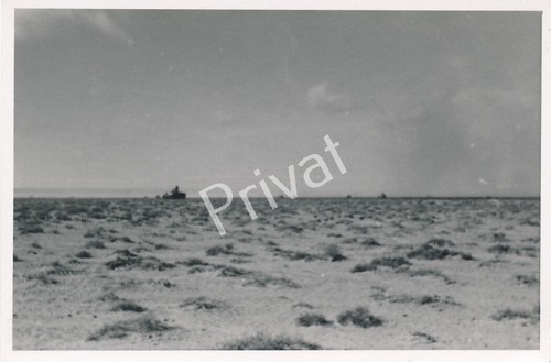 Foto wkii wehrmacht steppe - foto,