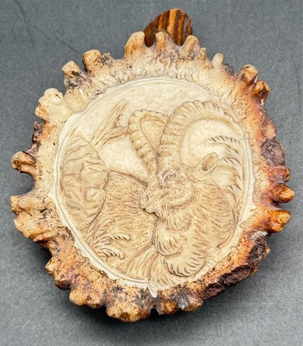 Alte hirschhorn rose - alte,