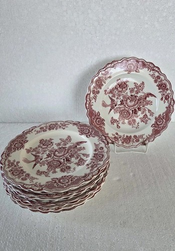 Bristol crown ducal rot 10x - crown,
