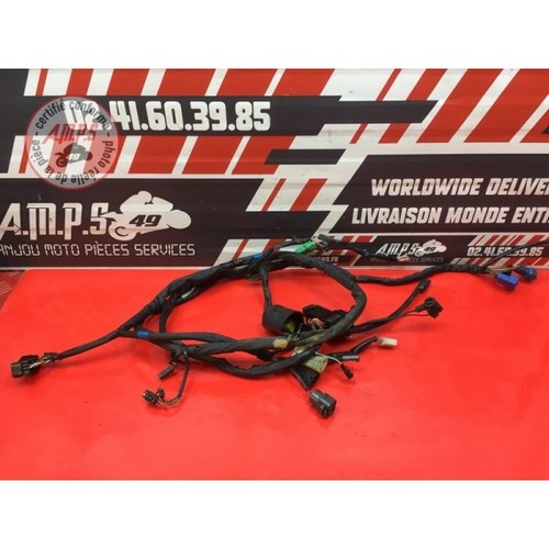 Suzuki gsf 1200 bandit 2000 - 1200,
