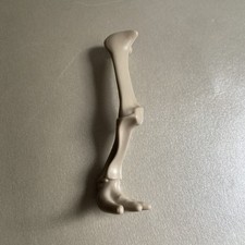 Playmobil 5101 Steinzeit