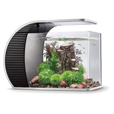 LED Glasaquarium-Set 19L mit