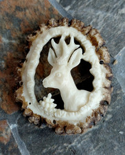 Hirschhornrose, geschnitzt