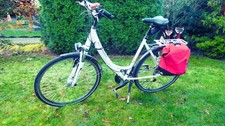 pegasus fahrrad 28 zoll damen gebraucht