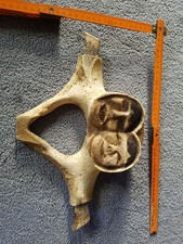 Inuit, Alaska, Beinarbeiten