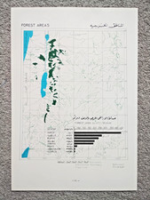 Vintage Government Map of