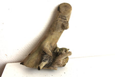 Schwemmholz Treibholz