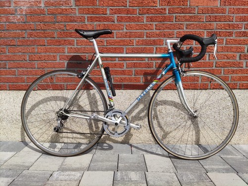 54cm gazelle race trophy - 54cm,