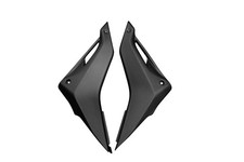 Carbon Seitenverkleidung für