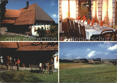 Weier tal burezmorge bim - im,