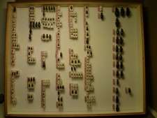 ältere Käfersammlung Mitteleuropa, über 30 Jahre alt (2)