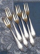 6 Traumhafte versilberte