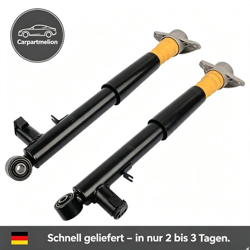 Pair hinten stoßdämpfer für - hinten,